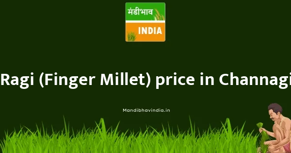 Ragi (Finger Millet) price